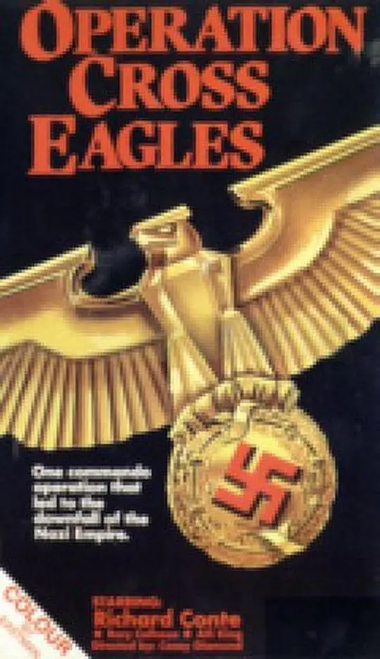 《十字鹰行动》：谍影重重，风声鹤唳，一场绝密任务下的生死搏杀与人性考验