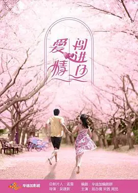 《爱情闯进门》：硝烟与柔情的交织，一个关于成长与救赎的动人故事