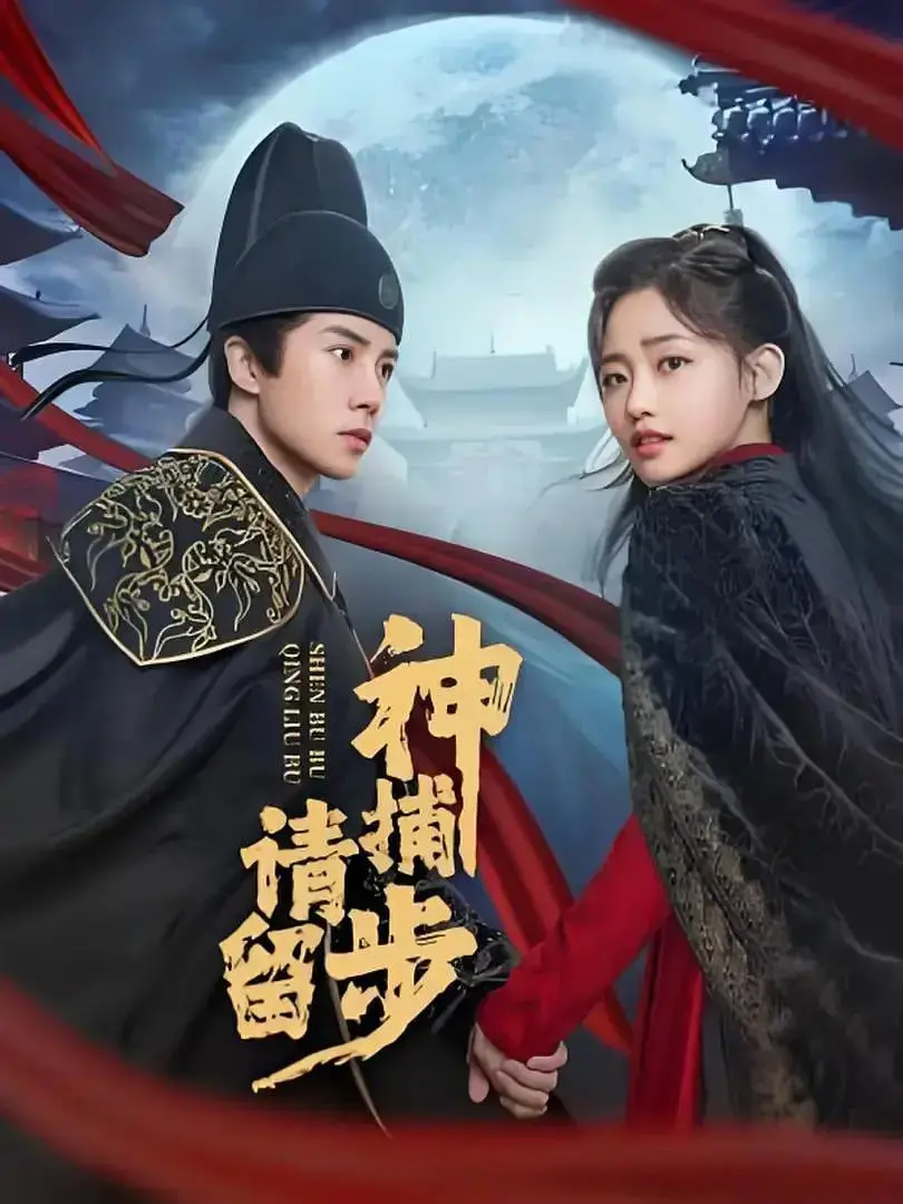 《神捕请留步》：古装探案新风尚，看神捕如何解开层层迷雾，揭秘真相！